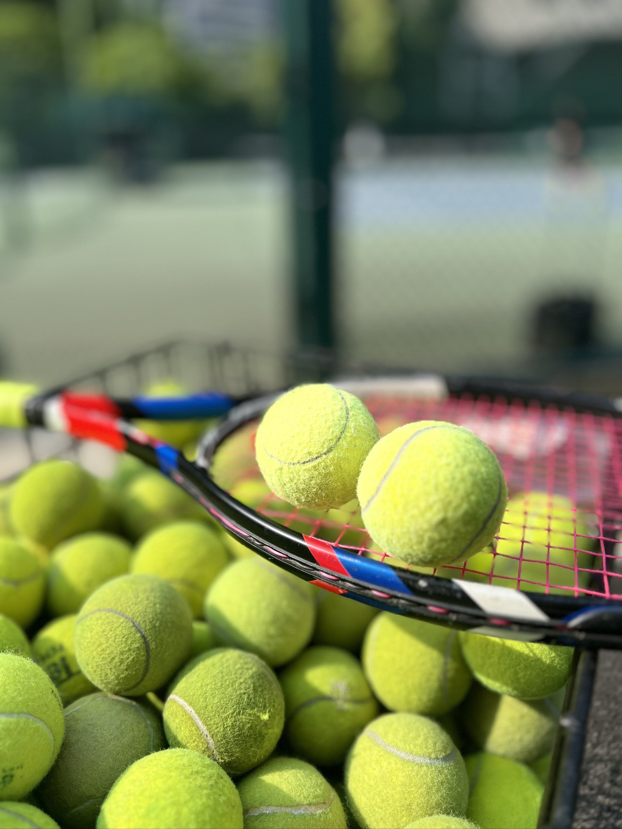 事品质的高 事品质的高